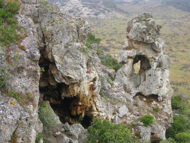 Albertinia limestone IMG 2847